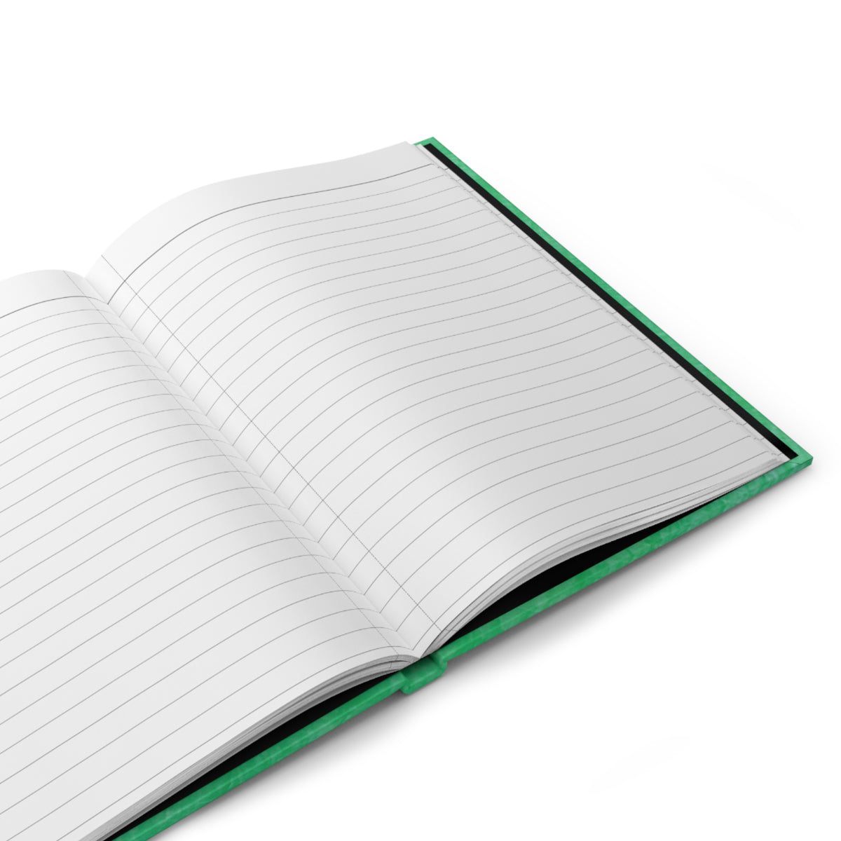 Hardcover Journal - Rays in Southampton