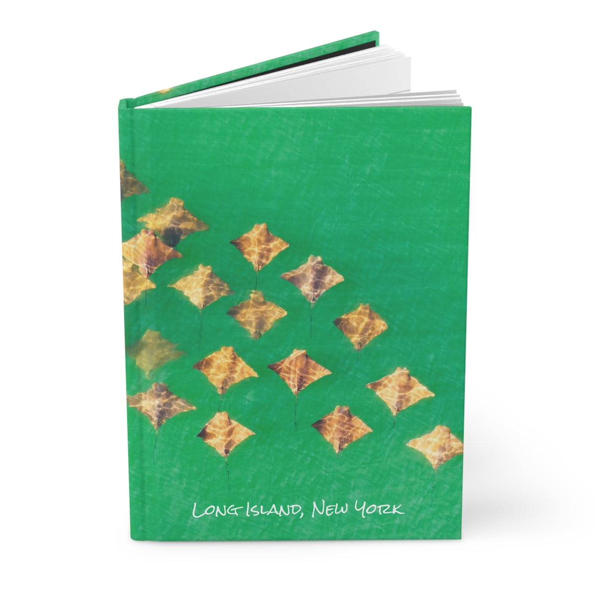 Hardcover Journal - Rays in Southampton